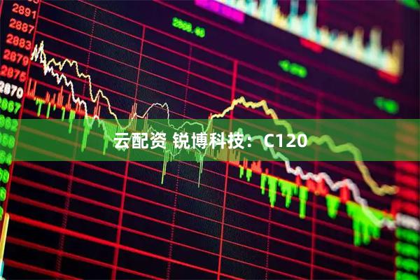 云配资 锐博科技：C120