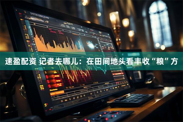 速盈配资 记者去哪儿：在田间地头看丰收“粮”方
